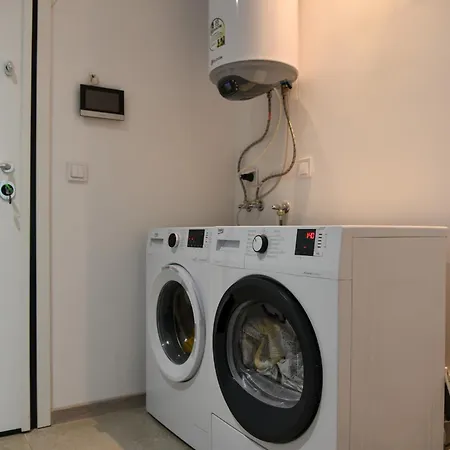 Sunlit Elegance Escape Warna